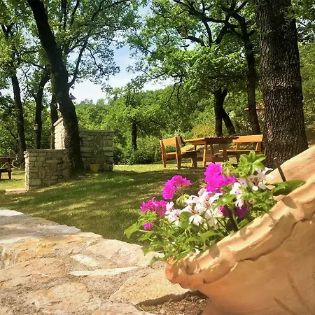 Apartaments - Villa Delle Querce Apartment